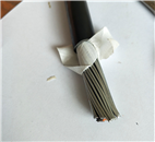 KFF-24*0.5高温防腐控制电缆型号