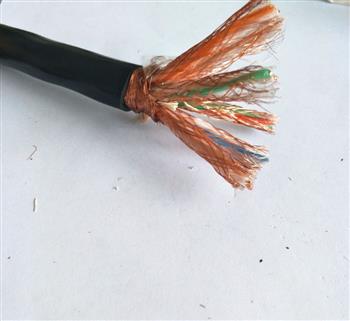 阻燃计算机电缆ZR-DJYVP3-32