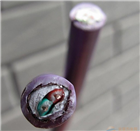 西门子紫色电缆6XV1830-0AH10