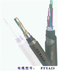 PTY23双层钢带铠装信号电缆价格 