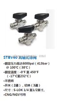 STBV60 耳轴式球阀