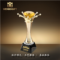 WB-171056本年度最受喜愛的水晶鉆石合金獎杯深圳市文博工藝制品有限公司定制