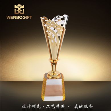 WB-171231水晶獎杯，個性獎杯，深圳市文博工藝制品有限公司定制