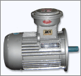 防爆电机,电动机