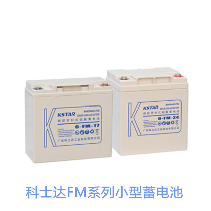 科士达FM小型密封电池6-FMM-24