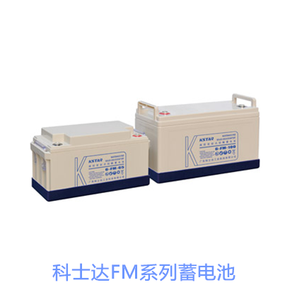 科士达FM固定性密封电池6-FM-65