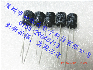 单端式铝电解电容 B41022A6106M000