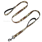 Double handles leash