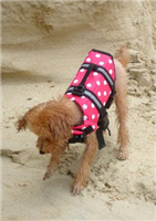 DOG208 dog life vest