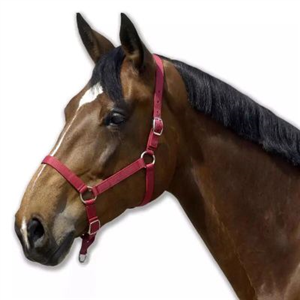 HORSE107 horse bridle