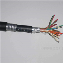 音频电缆HYA53