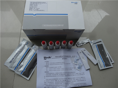 甲型肝炎语素IgM抗体检测试剂