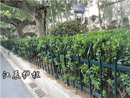 唐山市绿化带护栏