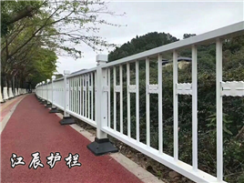 泰州市莲花护栏