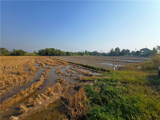 S1237  杭东街道待售土地，距离杭东医院3.5公里