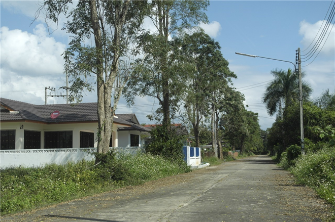 S1282  别墅区内的待售土地（清迈河景村）