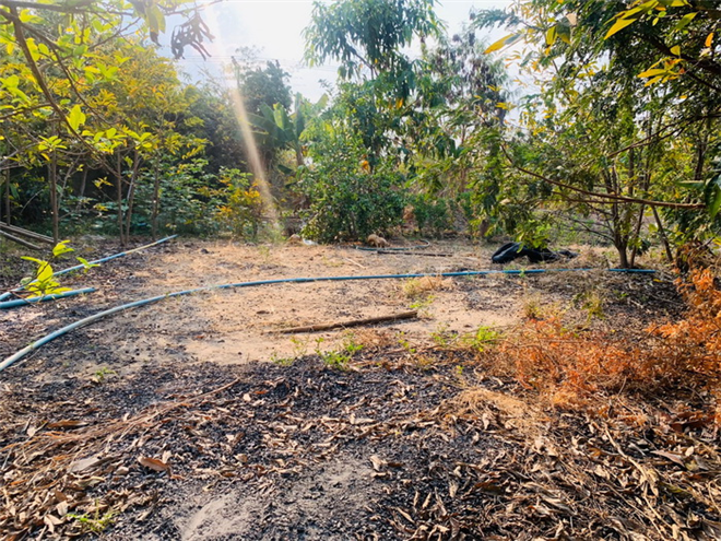 S1298  二环区域待售地块，土地方正适合自建别墅