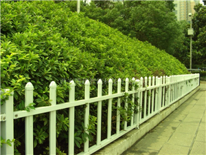上海花坛护栏
