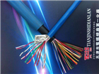 生产国标DJYVP3铝箔编织计算机电缆