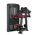 SK-307 Arm raise lifefitness commercial muscle machine