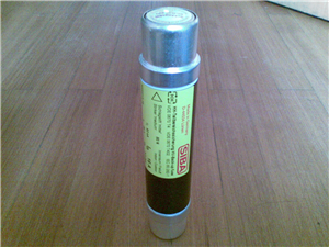 高壓熔斷器(3000213 16A)
