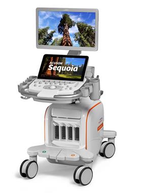 西门子 ACUSON Sequoia超声诊断系统