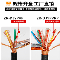 计算机屏蔽电缆DJYP2-22价格