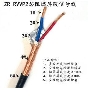 计算机电缆 DJFVP22