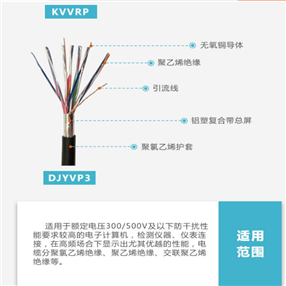 阻燃计算机屏蔽电缆ZRB-DJYPVP