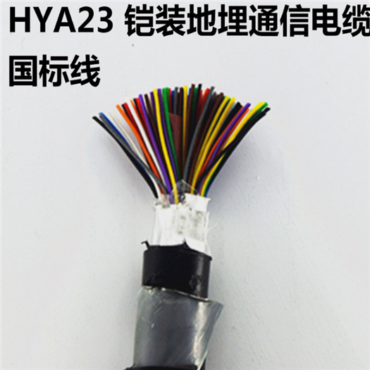 自承式电缆HYAC-100*2*0.4