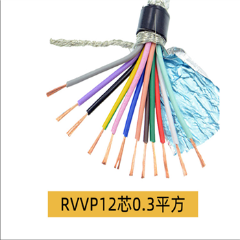 ASTP-120Ω 2*24AWG 铠装屏蔽电缆