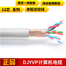 DJYPVP对绞屏蔽电缆 