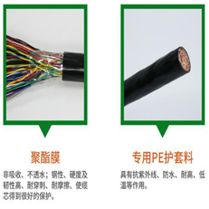 NH-KVVP耐火控制线 450V屏蔽电缆
