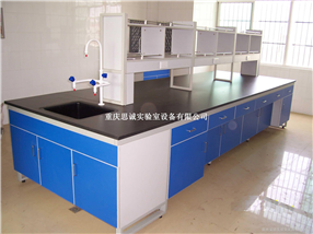 重庆实验室家具/重庆钢木实验台