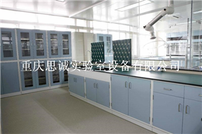 贵州实验室操作台|贵阳实验台|六盘水实验室中央台