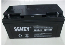 西力蓄电池SH65-12  12V65Ah