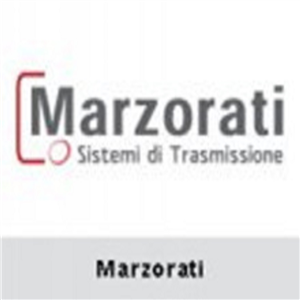意大利MARZORATI齿轮泵RA2010-N-1-XYW-03
