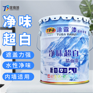 净味环保墙面漆TB-1000 净味超白乳胶漆工程