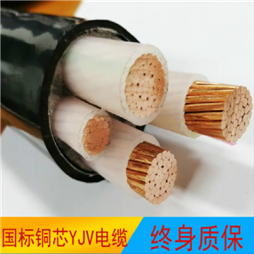 YZW中型橡套电缆YZW移动电缆
