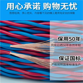 橡套电缆YC500V3*4+1*2.5电缆