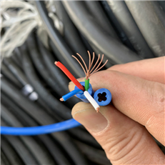 塑料绝缘控制电缆NH-KVVRP 2*1.5