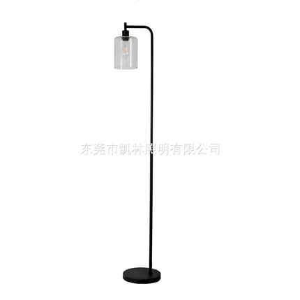 Hanging Glass Lamp Shade Bedroom Living Room Modern Standing Industrial Tall Pole Office LED Floor L