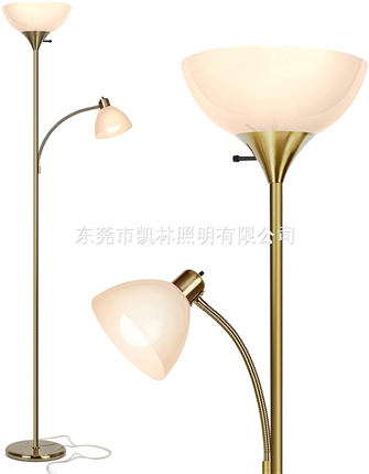 Sky Dome LED Torchiere & Reading Modern Standing Pole Tall Mother Daughter Lights Floor Lamp