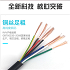 齐全-塑料绝缘控制电缆KVVP2