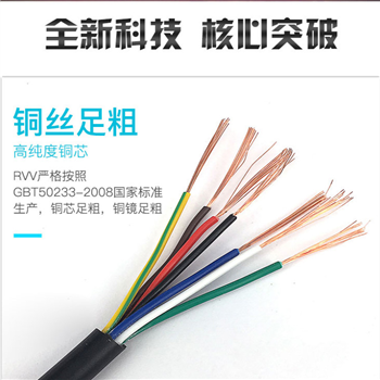 齐全-塑料绝缘控制电缆KVVP2