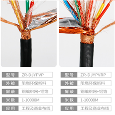 DJYVP，计算机电缆-DJYVRP