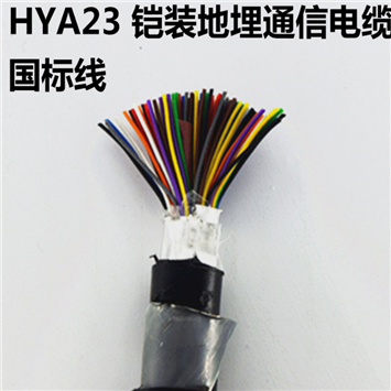 HYA10×2×0.5通信电缆