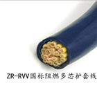 ZR-HYA23阻燃钢塑带铠装通信电缆