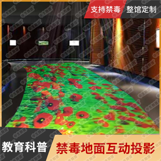 禁毒科普教育基地 3D地面互动投影 花海感应互动 沉浸式全息投影