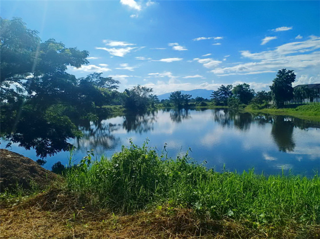 S1768  土地出售，风景优美（项目内），位于Doi Saket